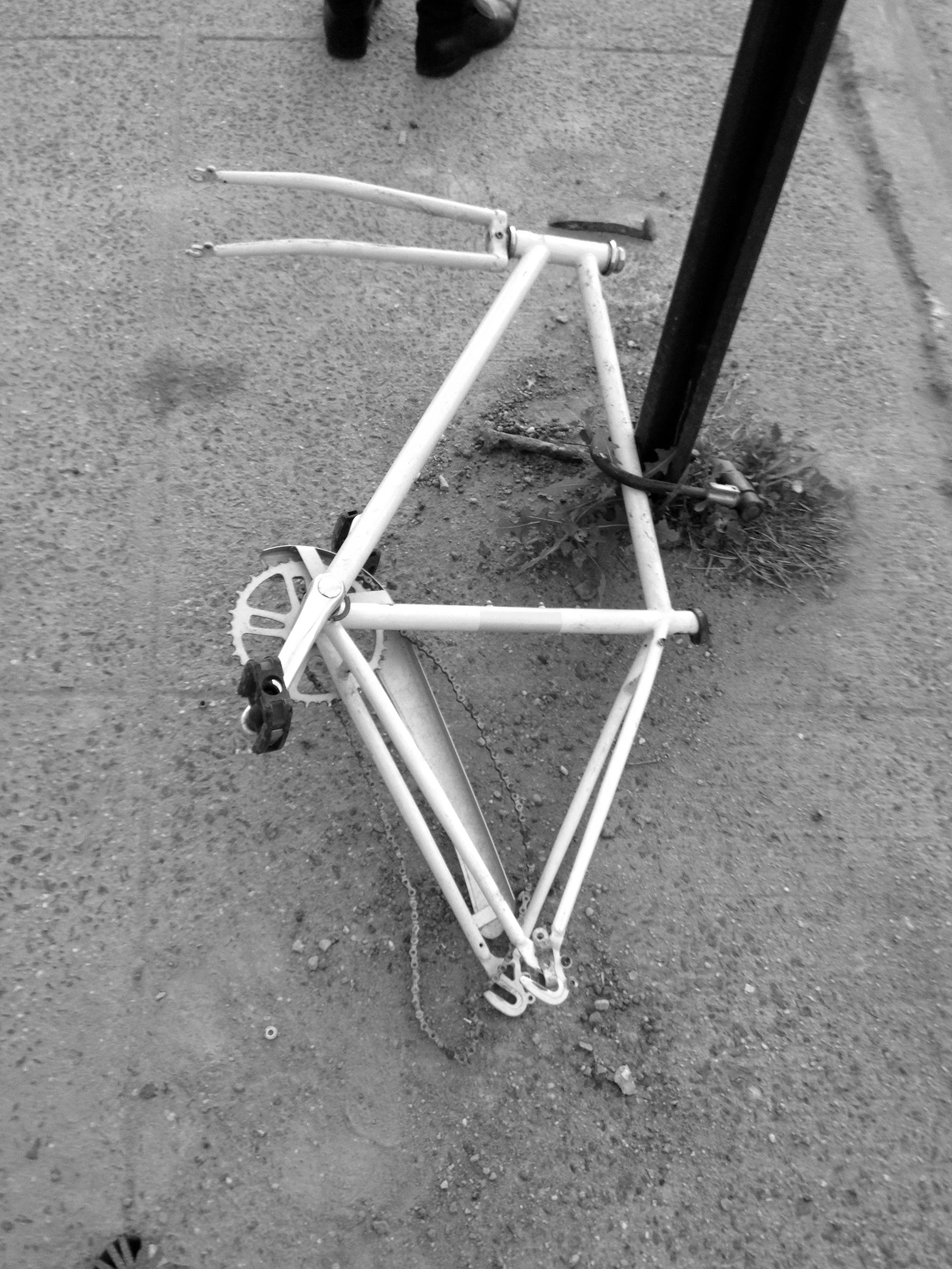The Bikes of New York
