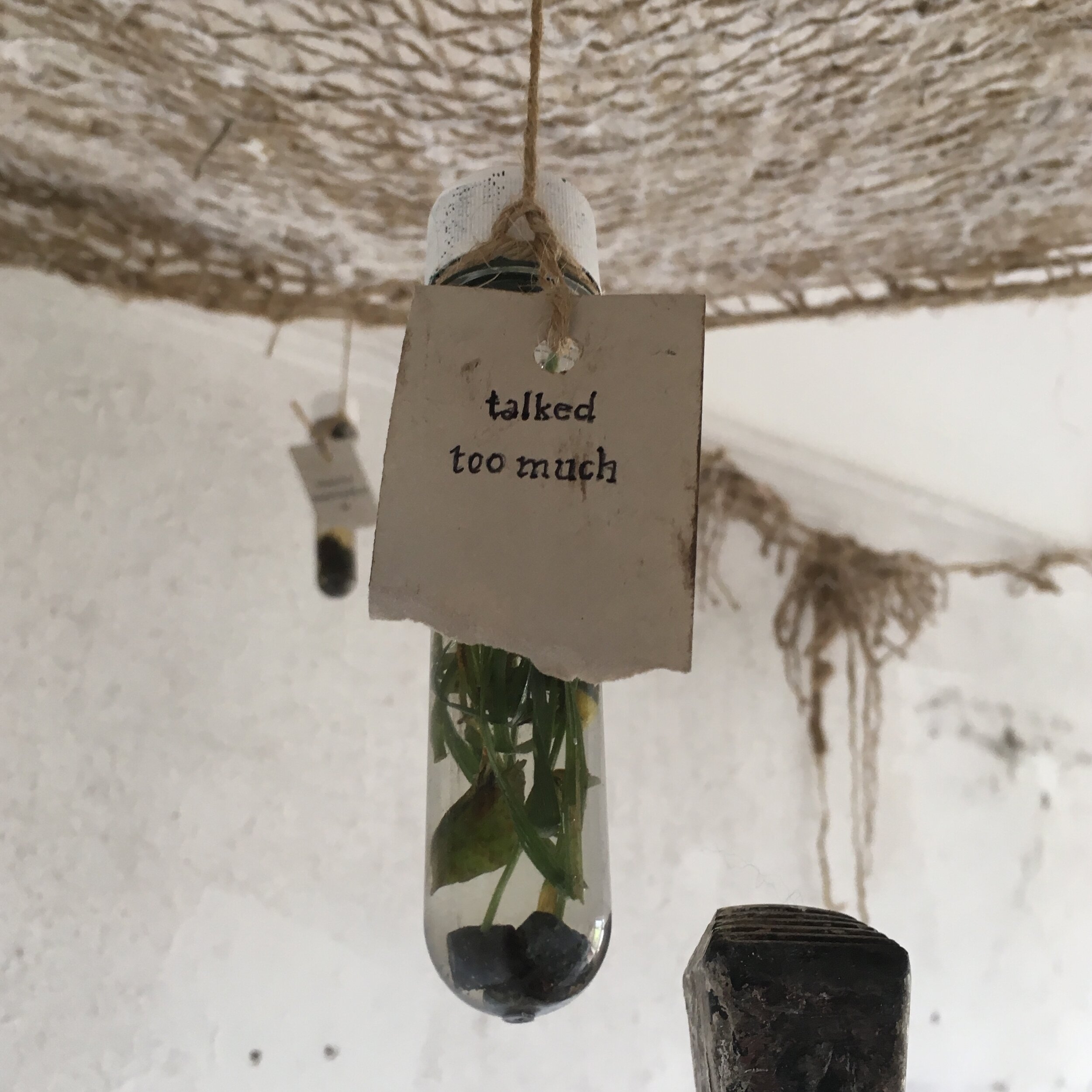  Installation detail with soil erosion cloth, giant test tubes and site-specific detritus    Sui Generis Exhibition, Plas Bodfa, Beaumaris, Wales UK 2019 