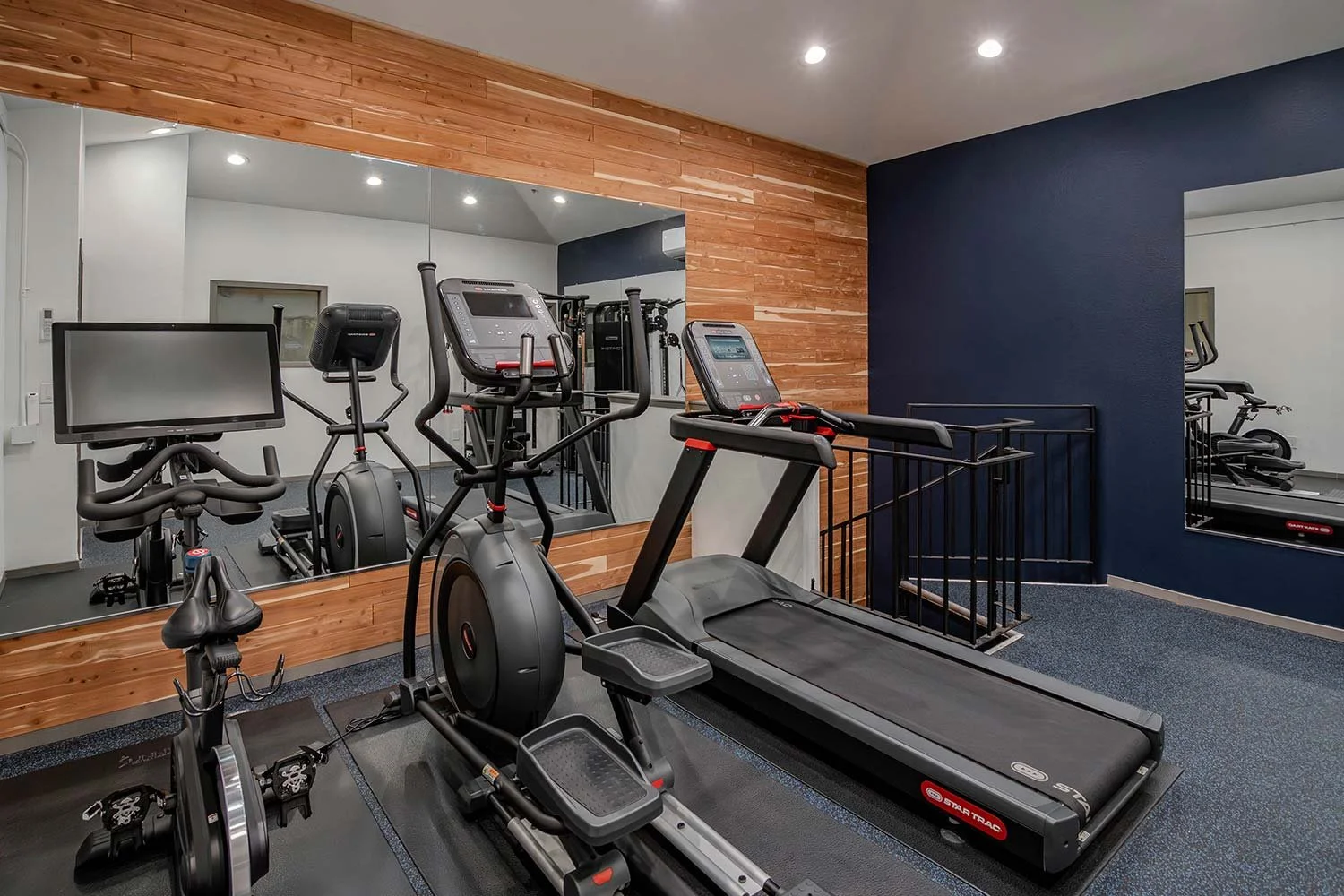 Unique colors for apartment building gym