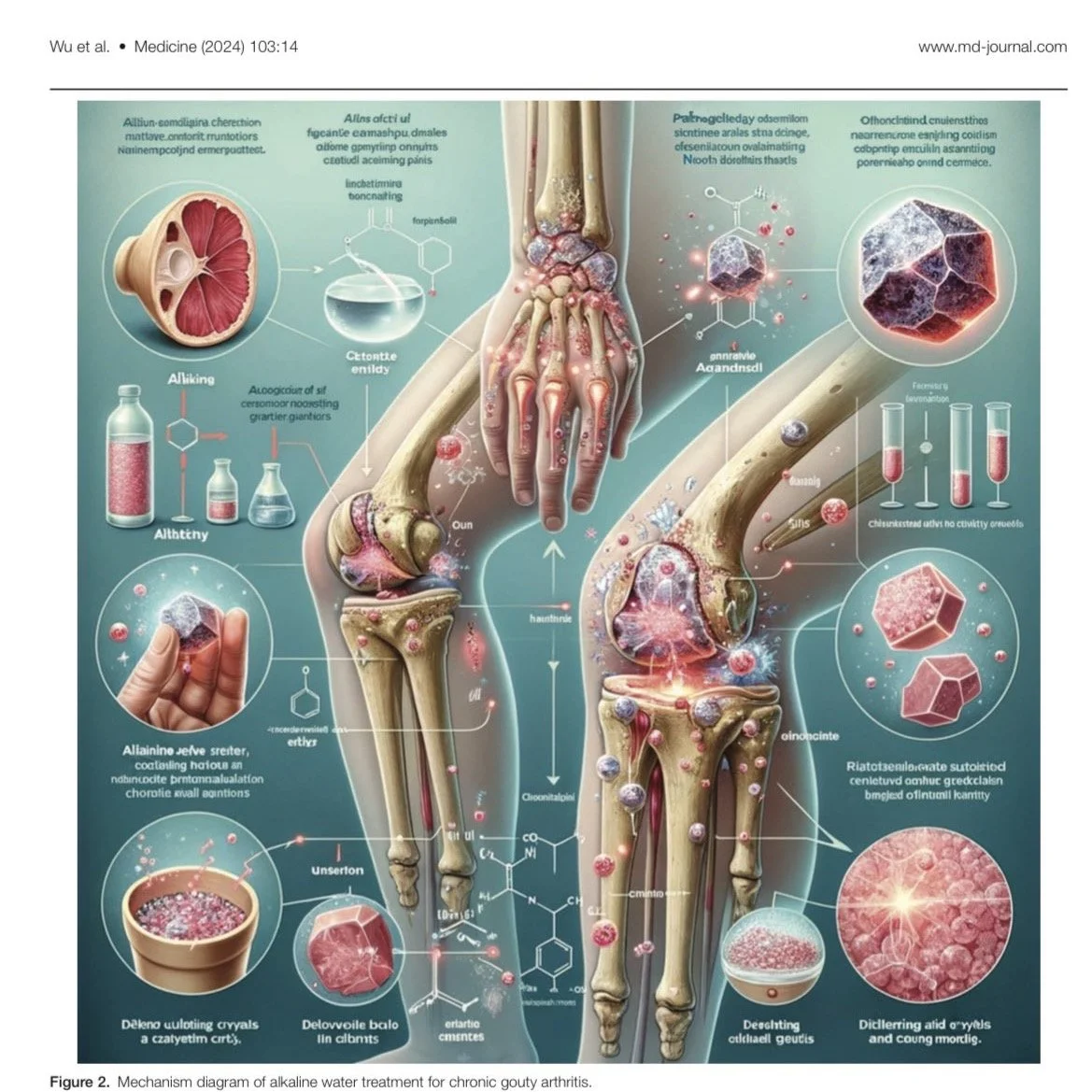 This is a real image published in the journal Medicine (md-journal.com) in a now-retracted &quot;research&quot; paper. Most of you might recognize that human bones do not look like that, but if you also take a look at the words on the page you will a