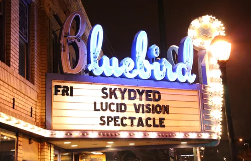Spectacle.Music.Bluebird.7.jpg