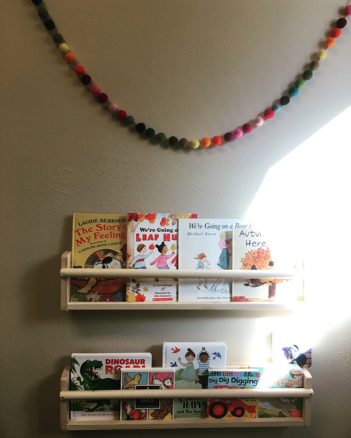  Book Shelf Vibes. The Montessori School of Evergreen 2019 