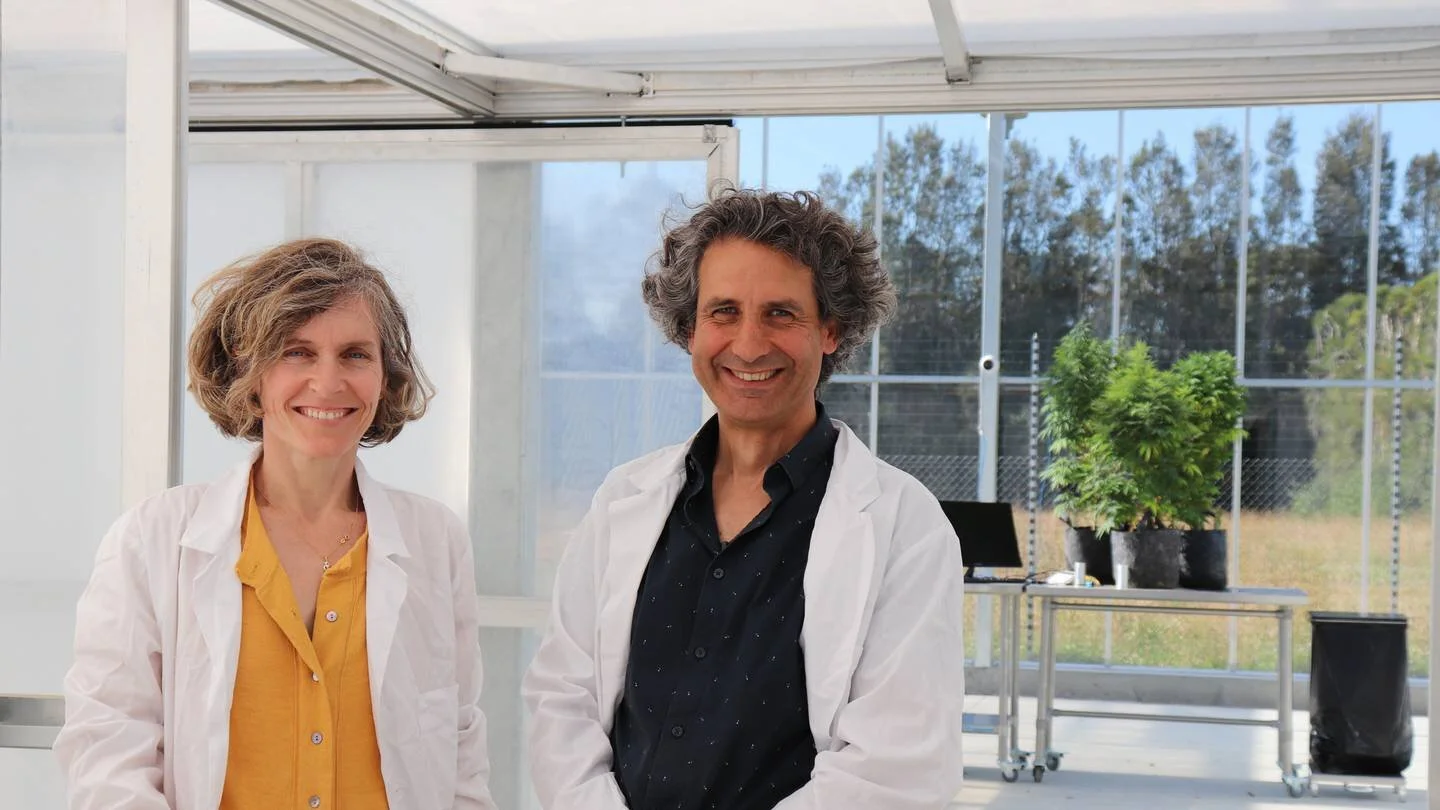 Crowdfunding boosts Te Horo based medicinal cannabis company Phytotecnia