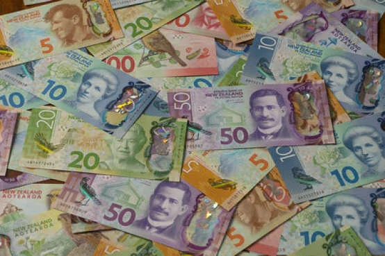 Payroll provider first PledgeMe firm to pay a dividend