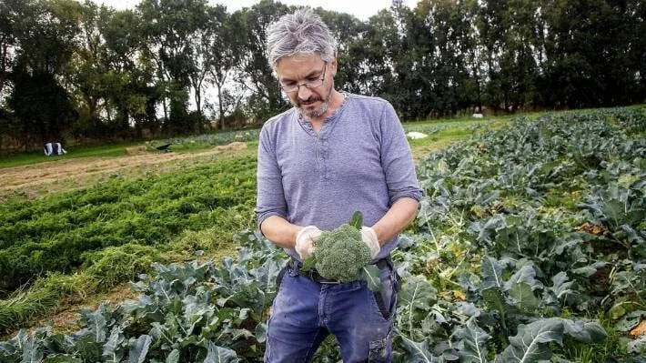 Servings of food and education getting bigger at Wholegrain Organics