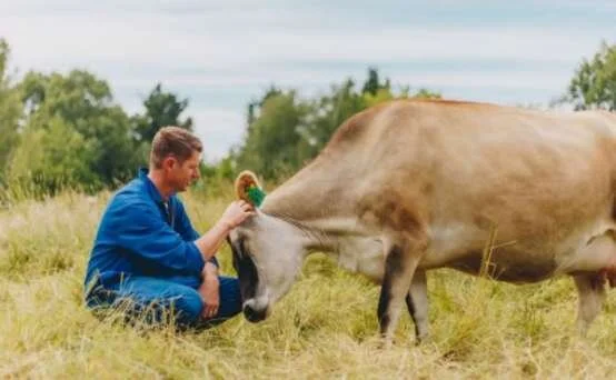 A 'milk factory in a box': Happy Cow Milk's quest to go global