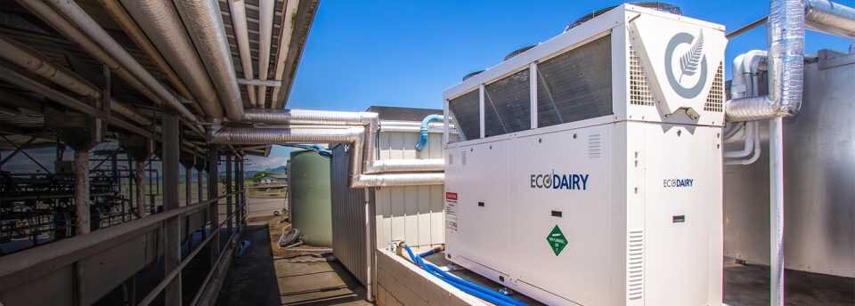 Kiwi company helping dairy farmers reduce emissions