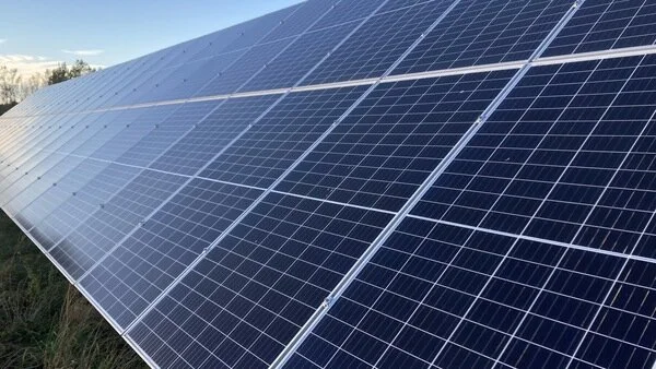 Solagri Energy seeks $4m to bring solar to dairy farms