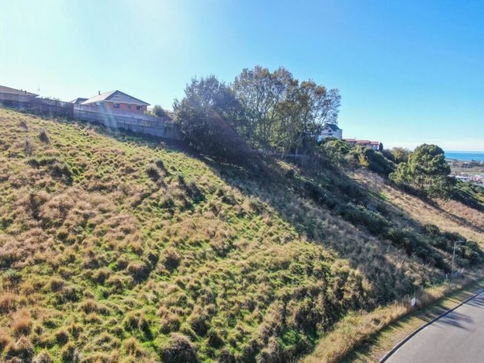Investors go shares in Oamaru section