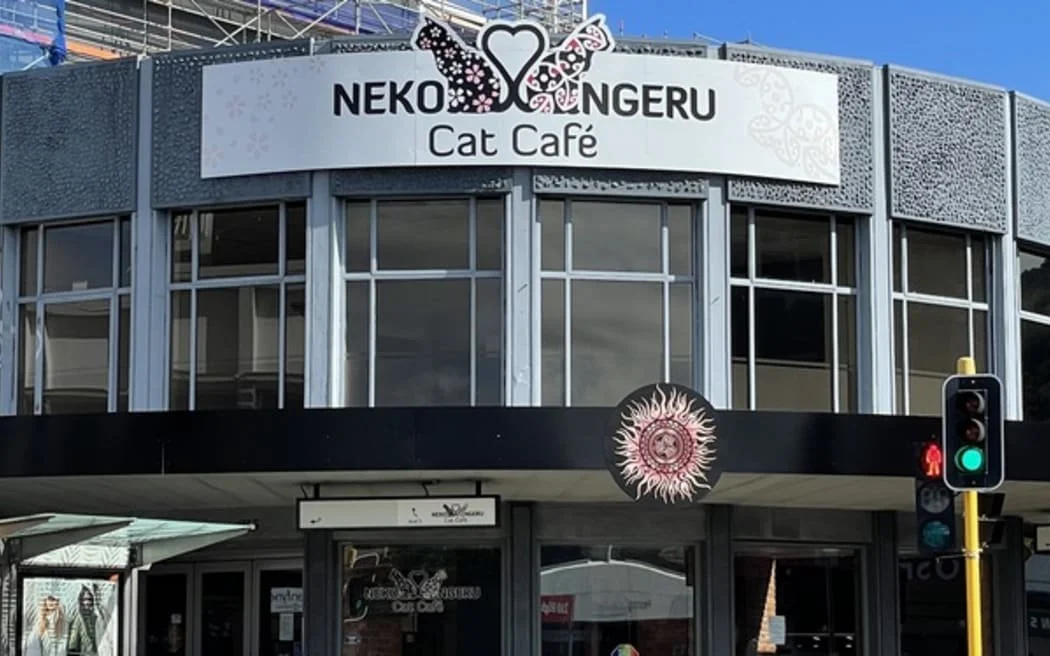 Neko Ngeru Cat Cafe crowd funding for their new premises