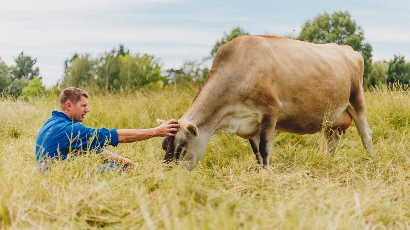 Happy Cow Milk meets latest crowdfunding target, looks for overseas growth