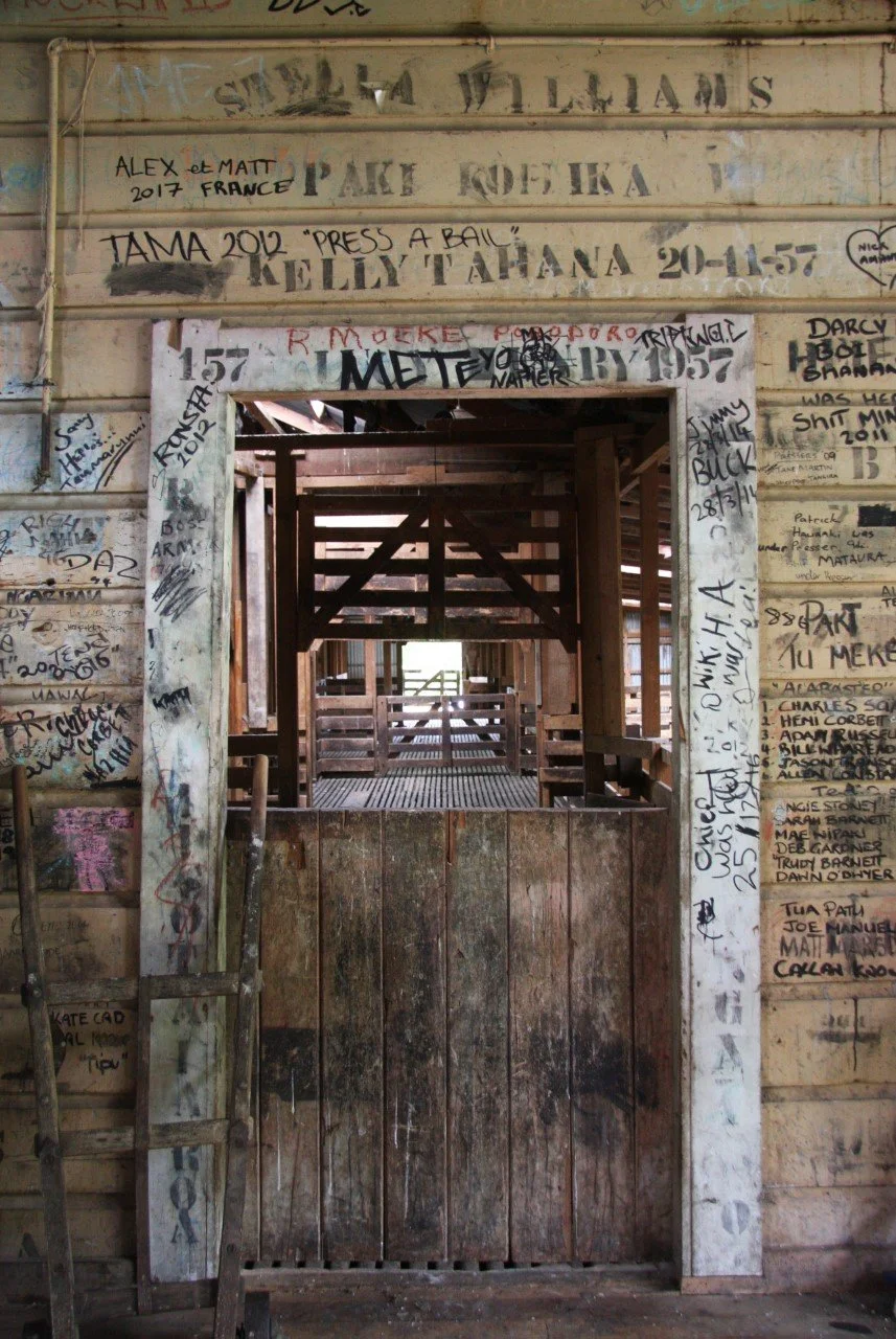 Design academic turns the spotlight on woolsheds