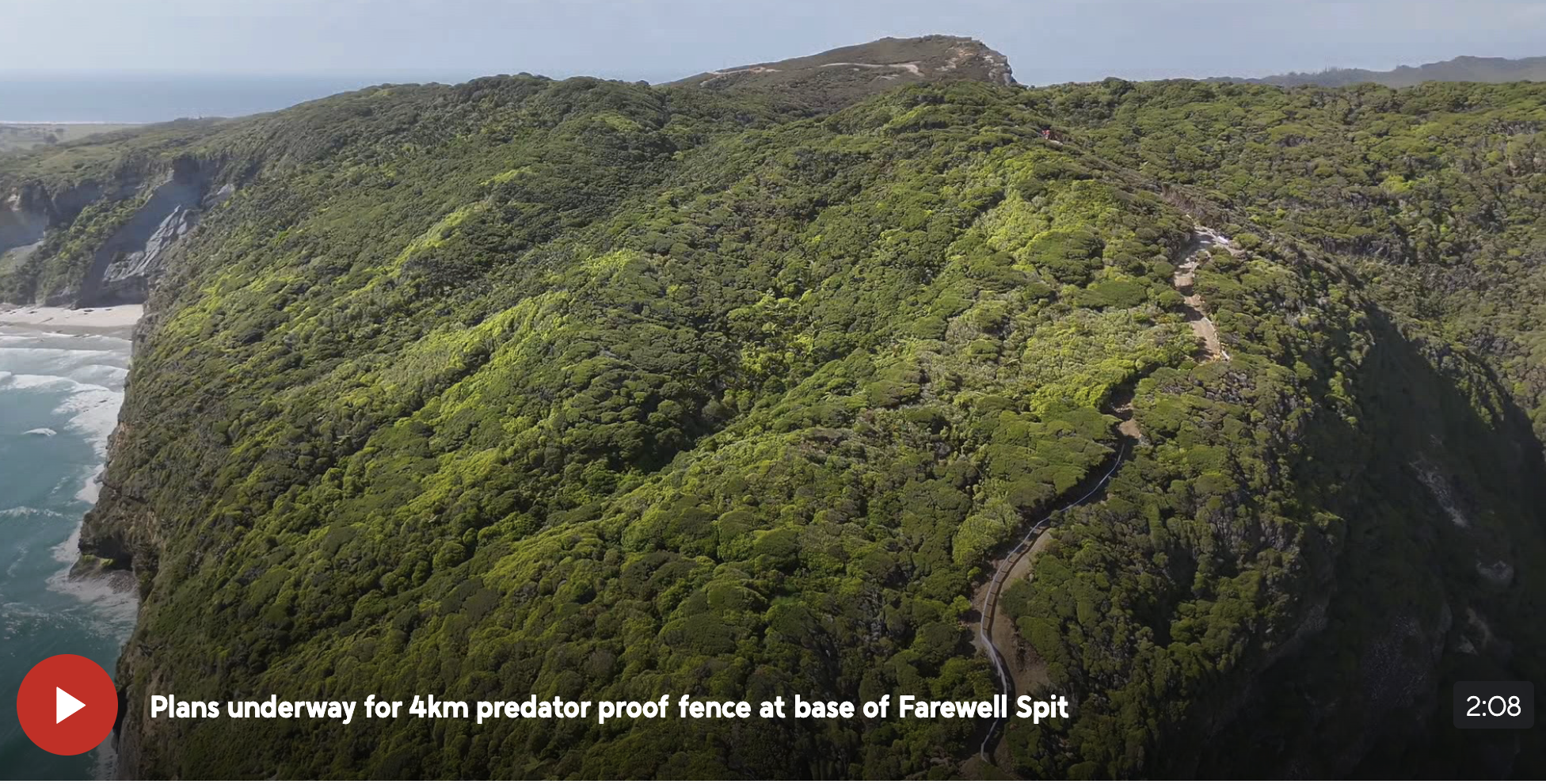 Plans underway for 4km predator proof fence at base of Farewell Spit