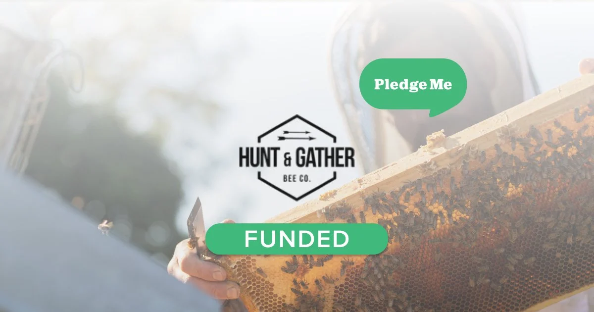 Equity Crowdfunding — PledgeMe Education