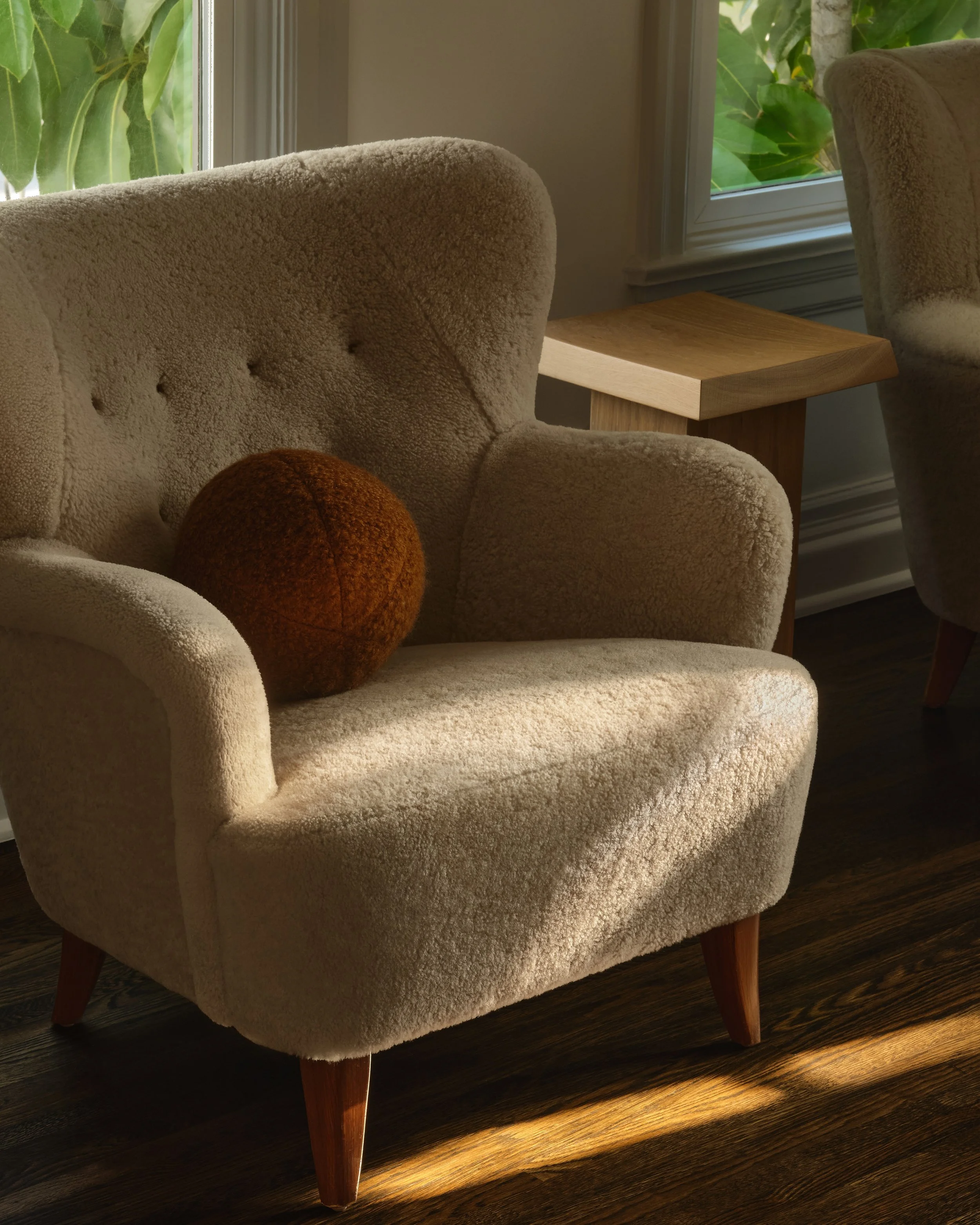 CMD_ORANGE_2510919_Edit 1.jpg