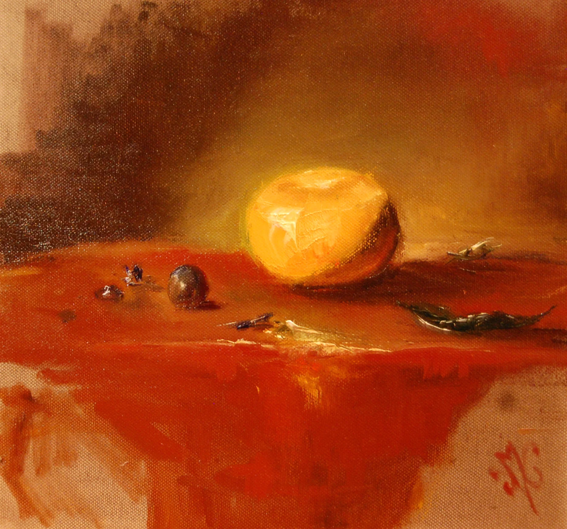 "Quelle belle lumière sur cette mandarine... " 2013