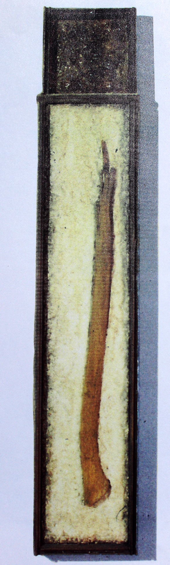 Reintergrated