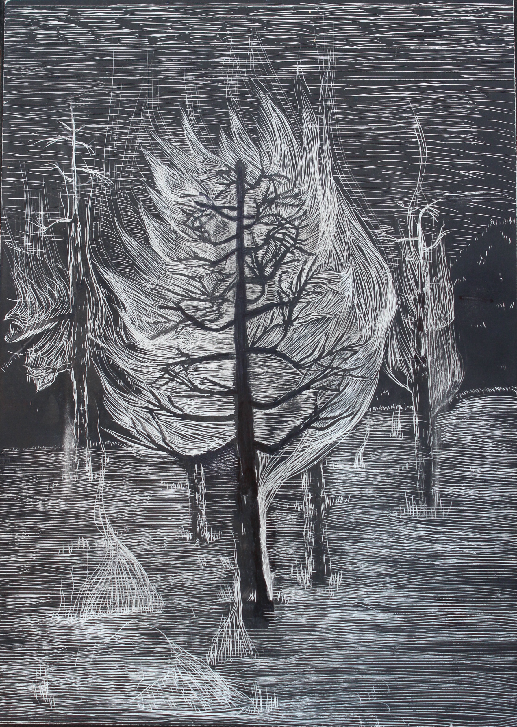 scratch board 2006