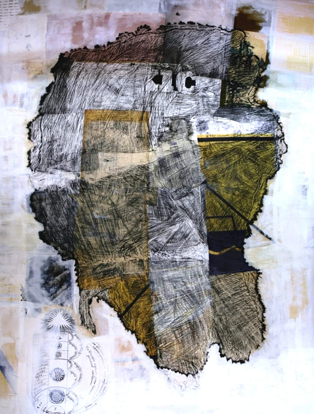 Untitled (Redwwod, estimated age 524 years)