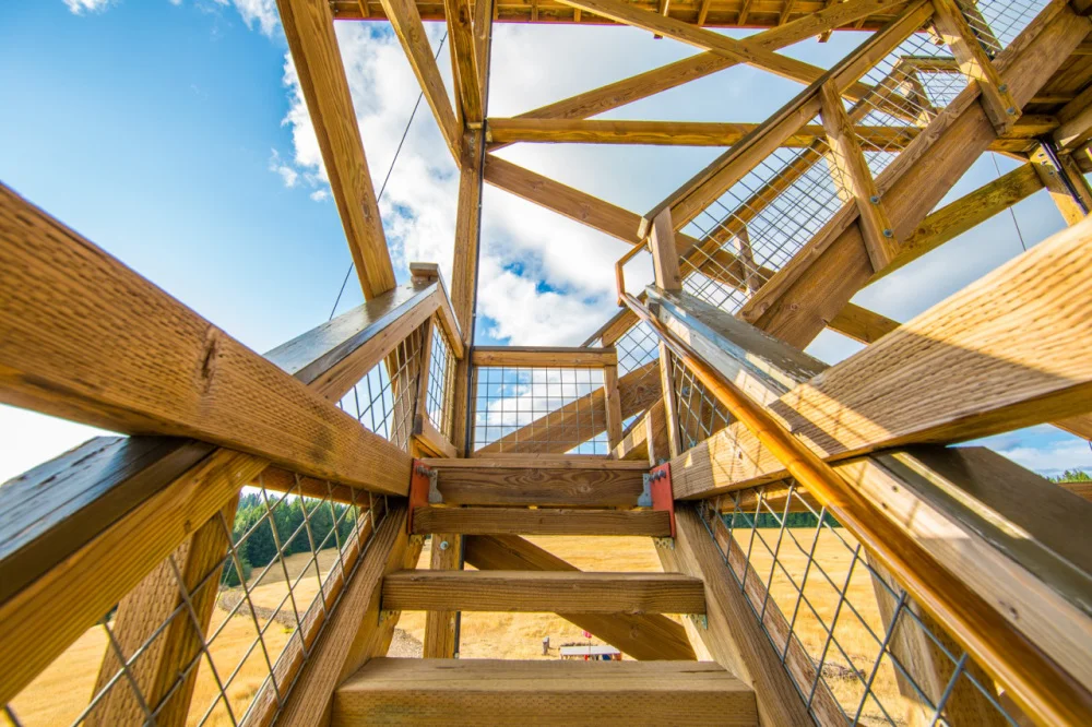 firelookout.jpg