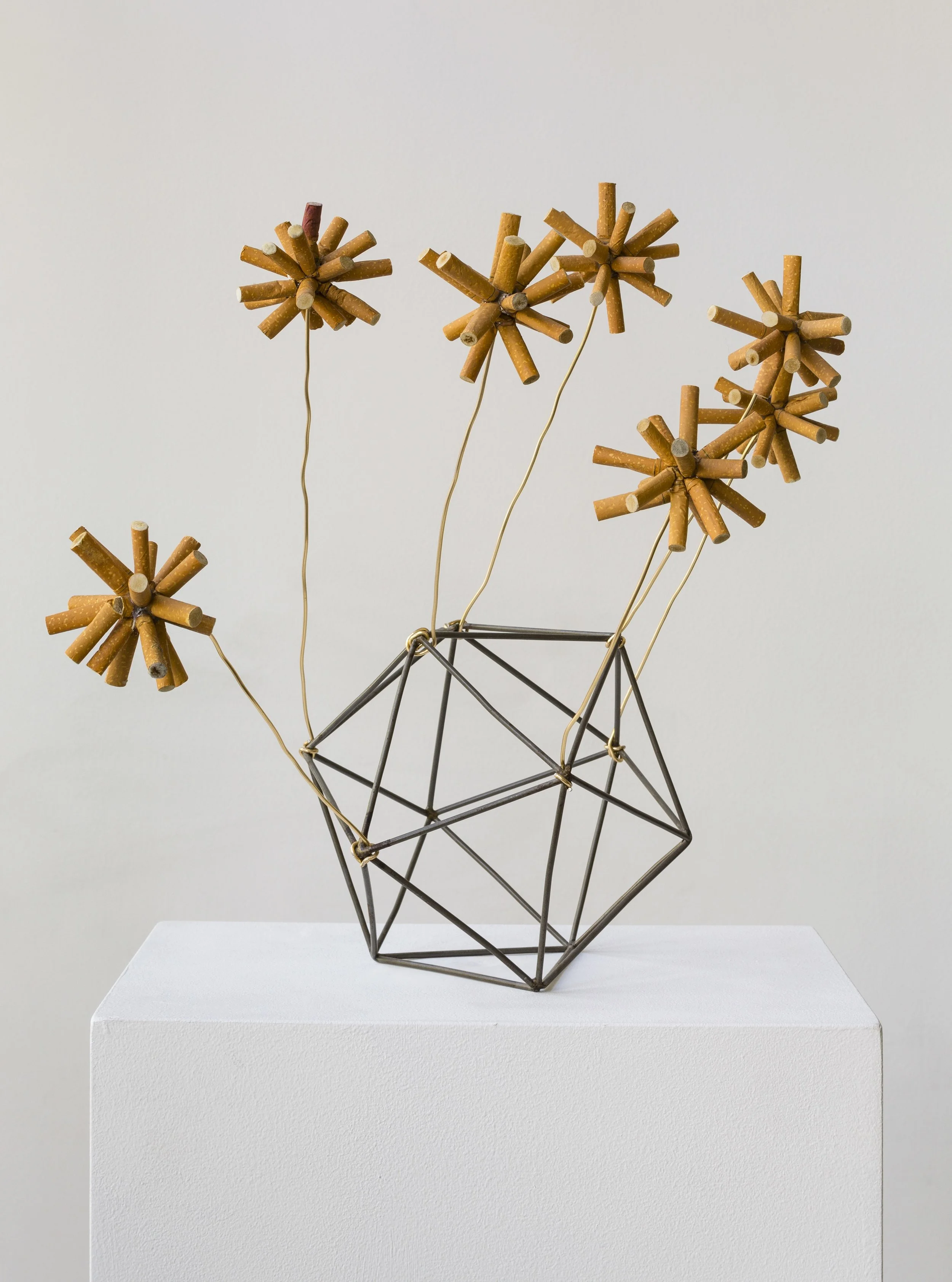 We Don't Die... We Multiply