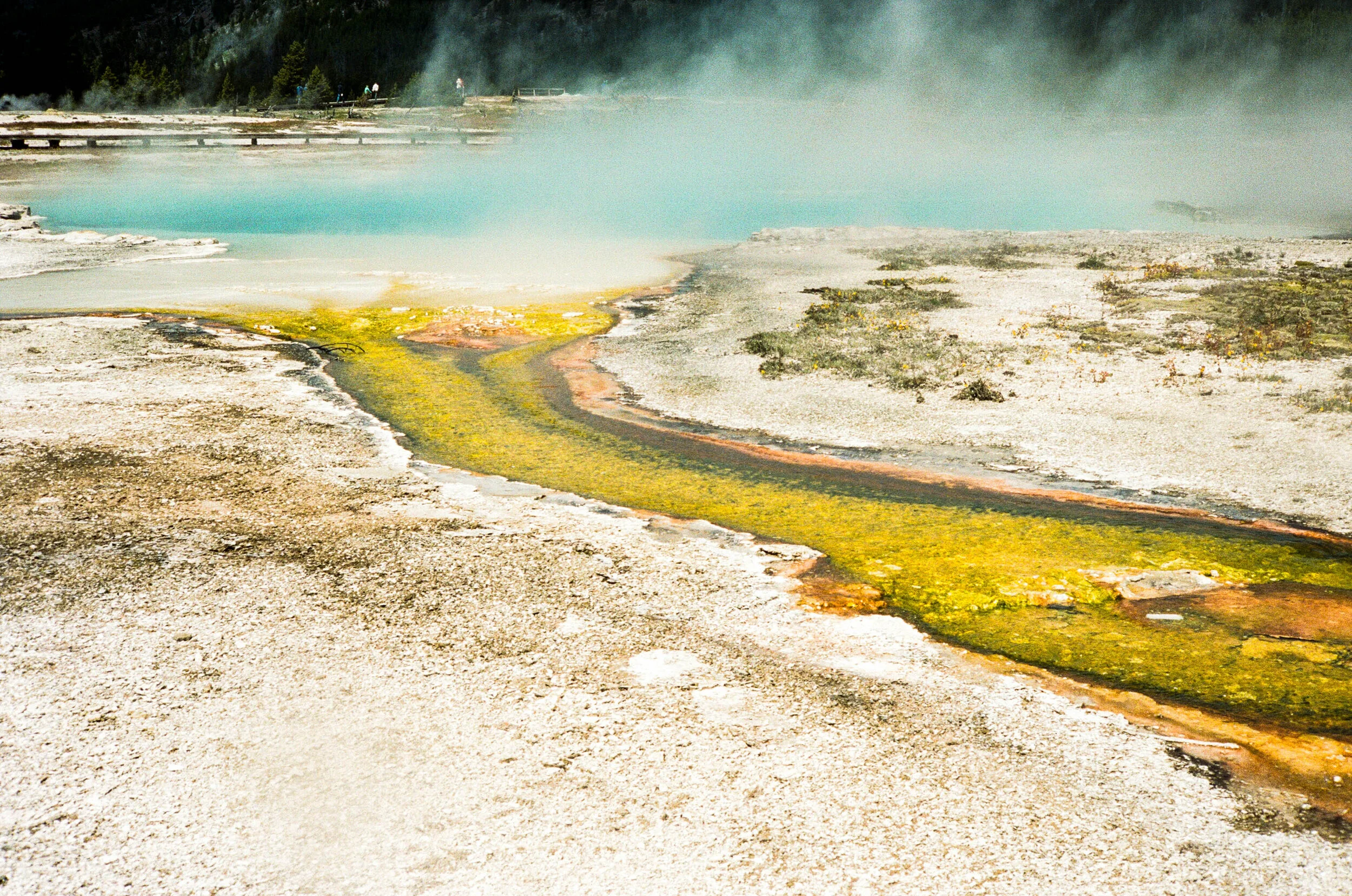 film-yellowstone-2017-10.jpg