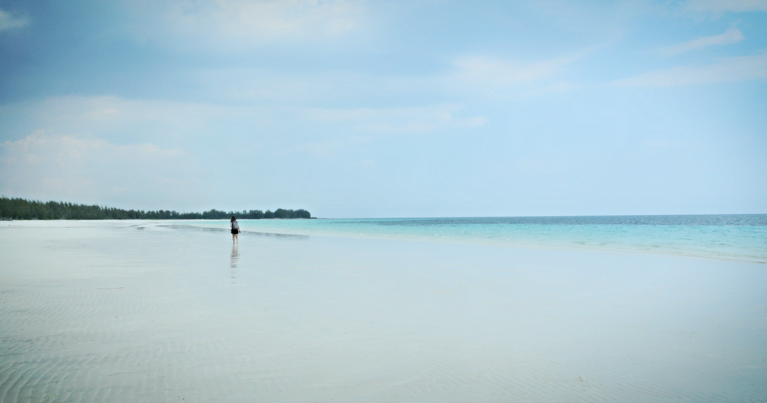 Screen Shot 2015-11-10 at 1.31.40 PM.png