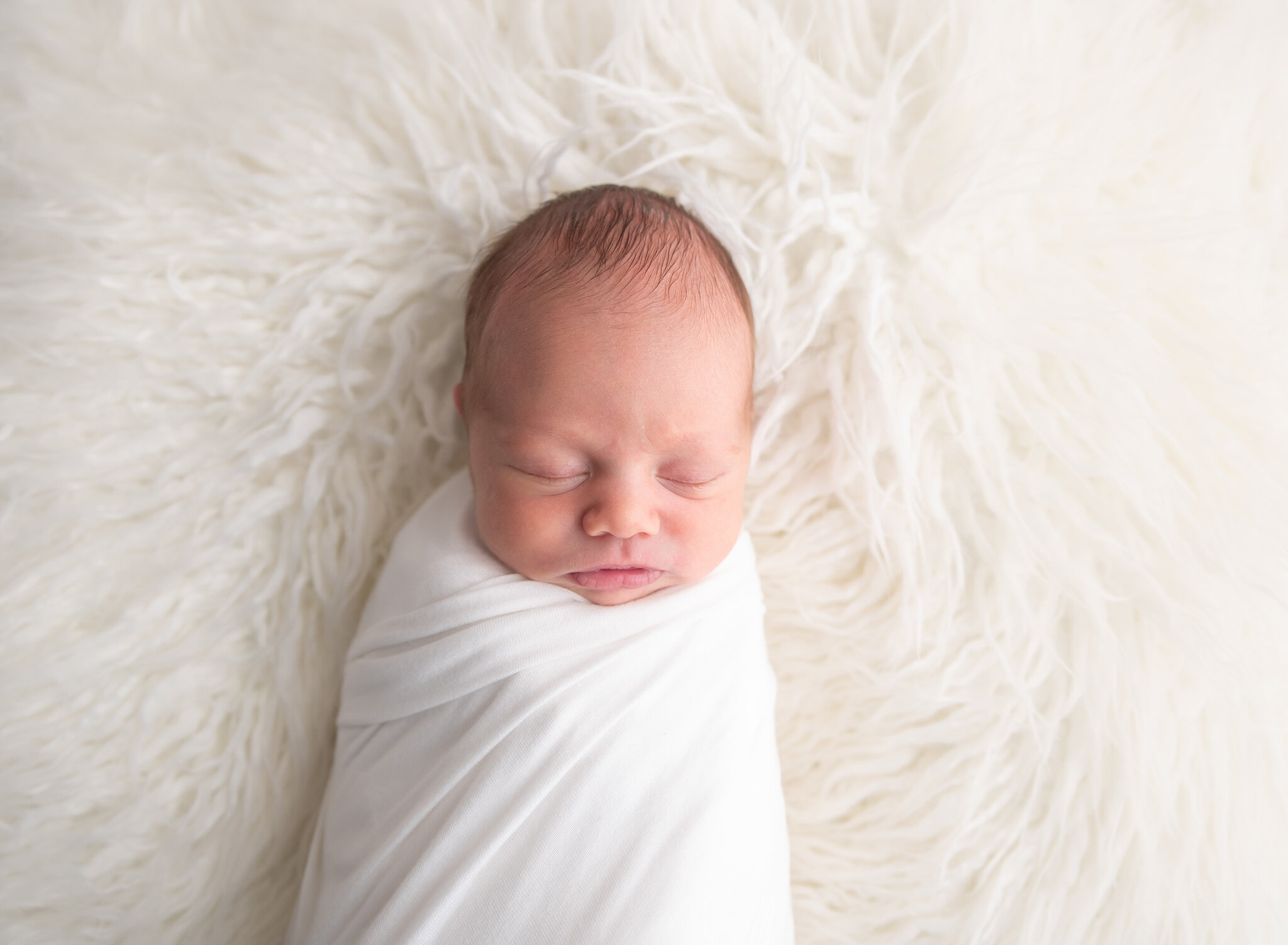 ohio newborn baby pure white fur_.jpg