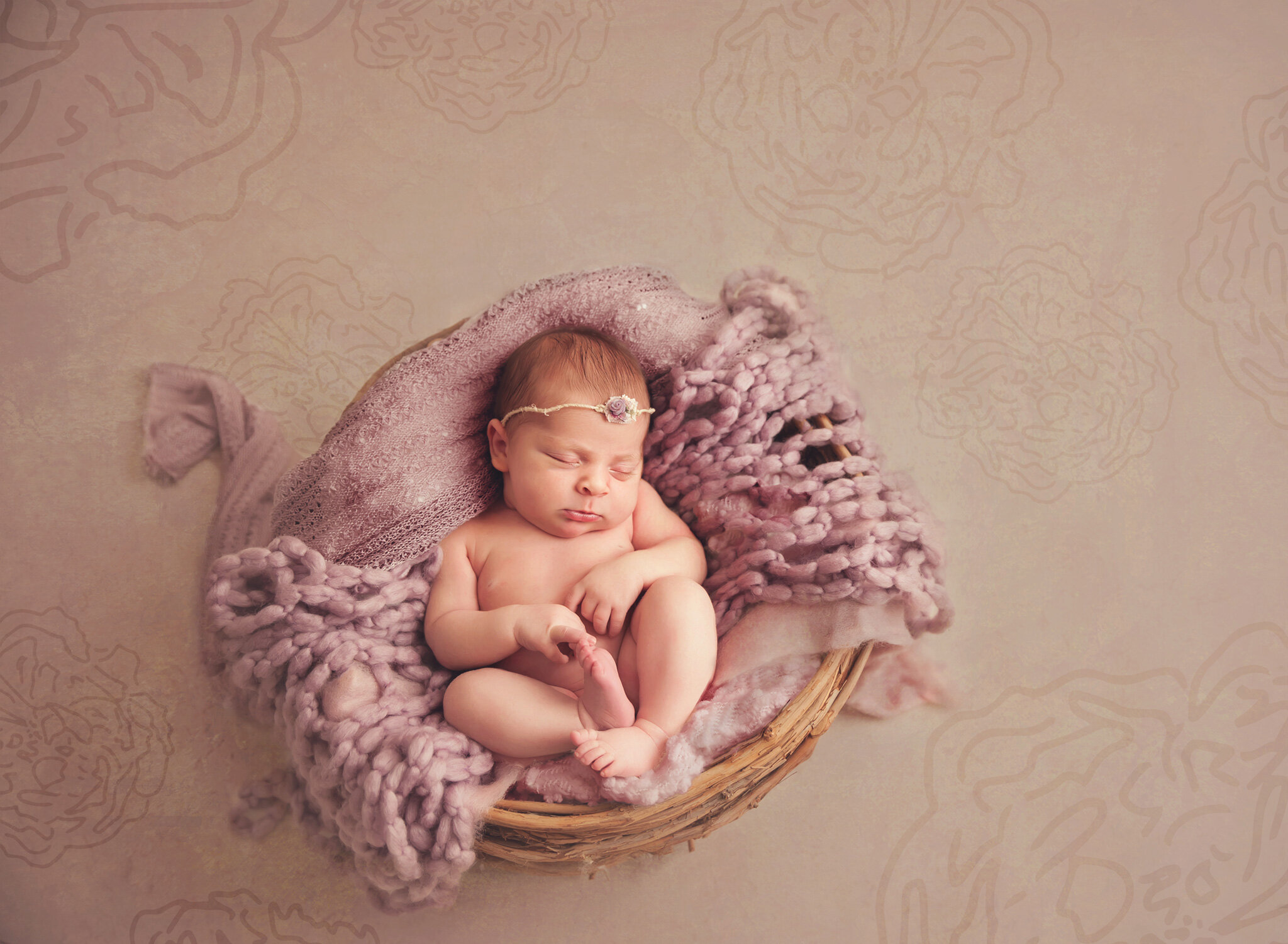newborn girl purple flowers.jpg