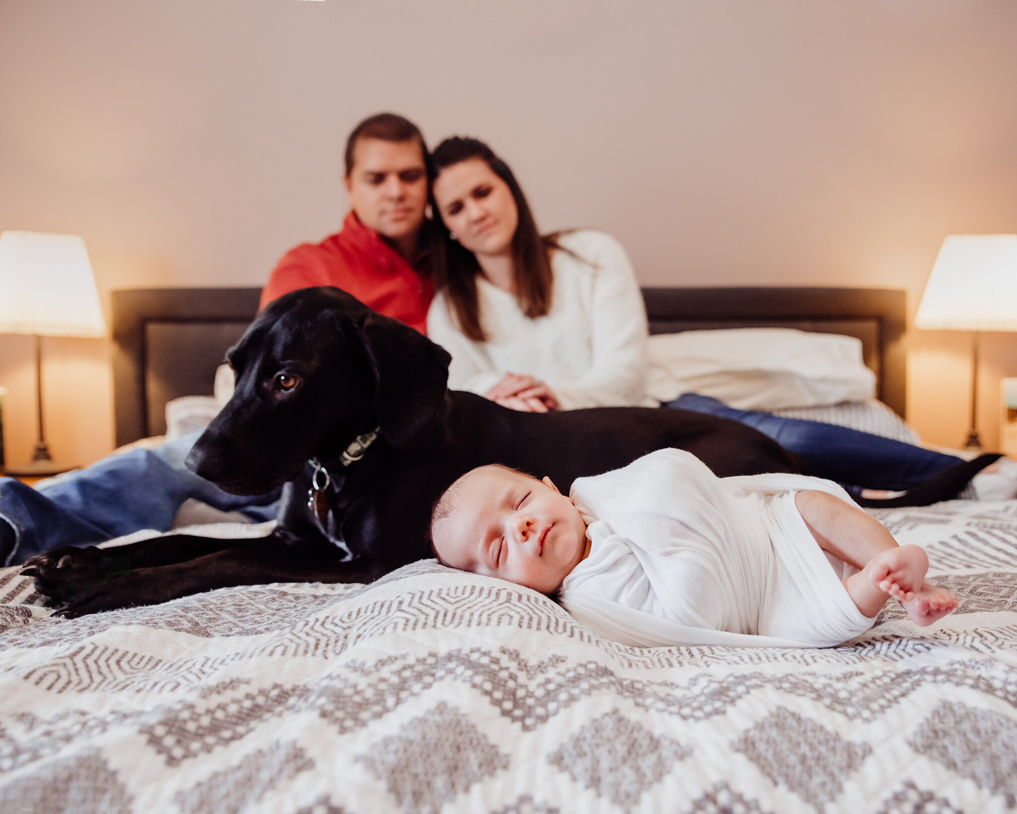 home photoshoot baby dog family.jpg