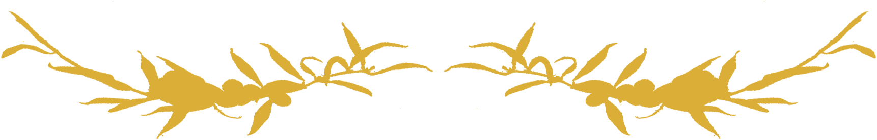 Divider glyph.png