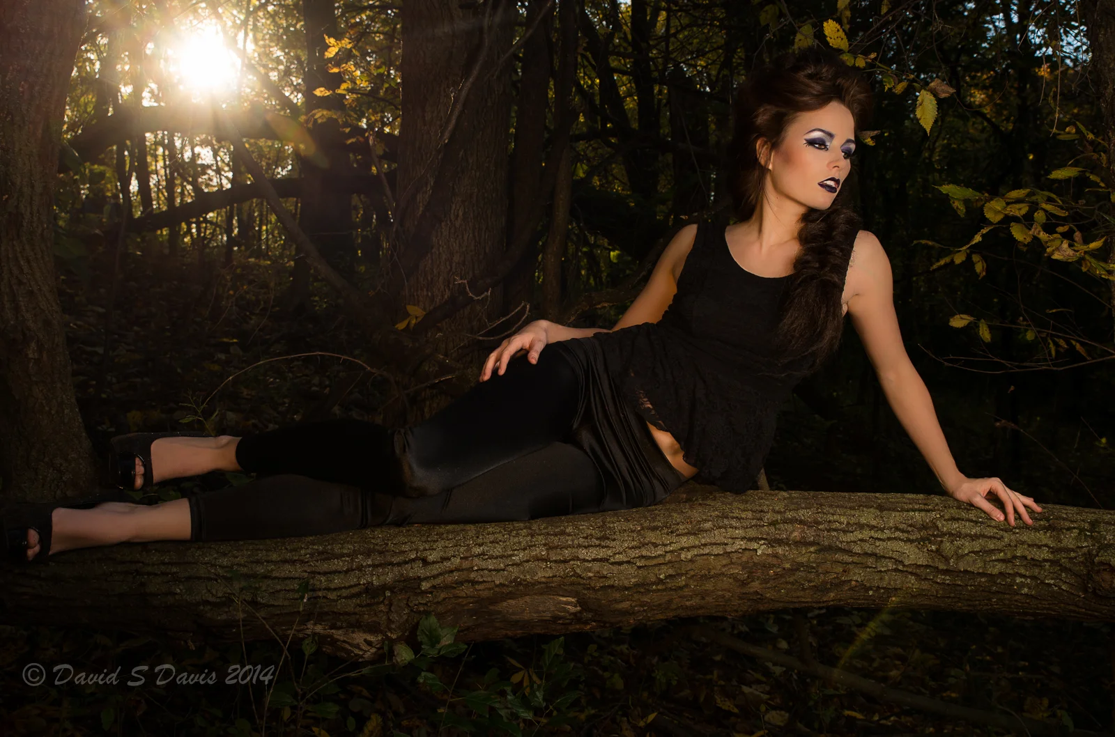Model in a tree
