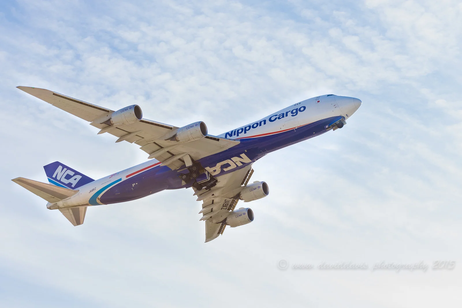 Nippon Cargo