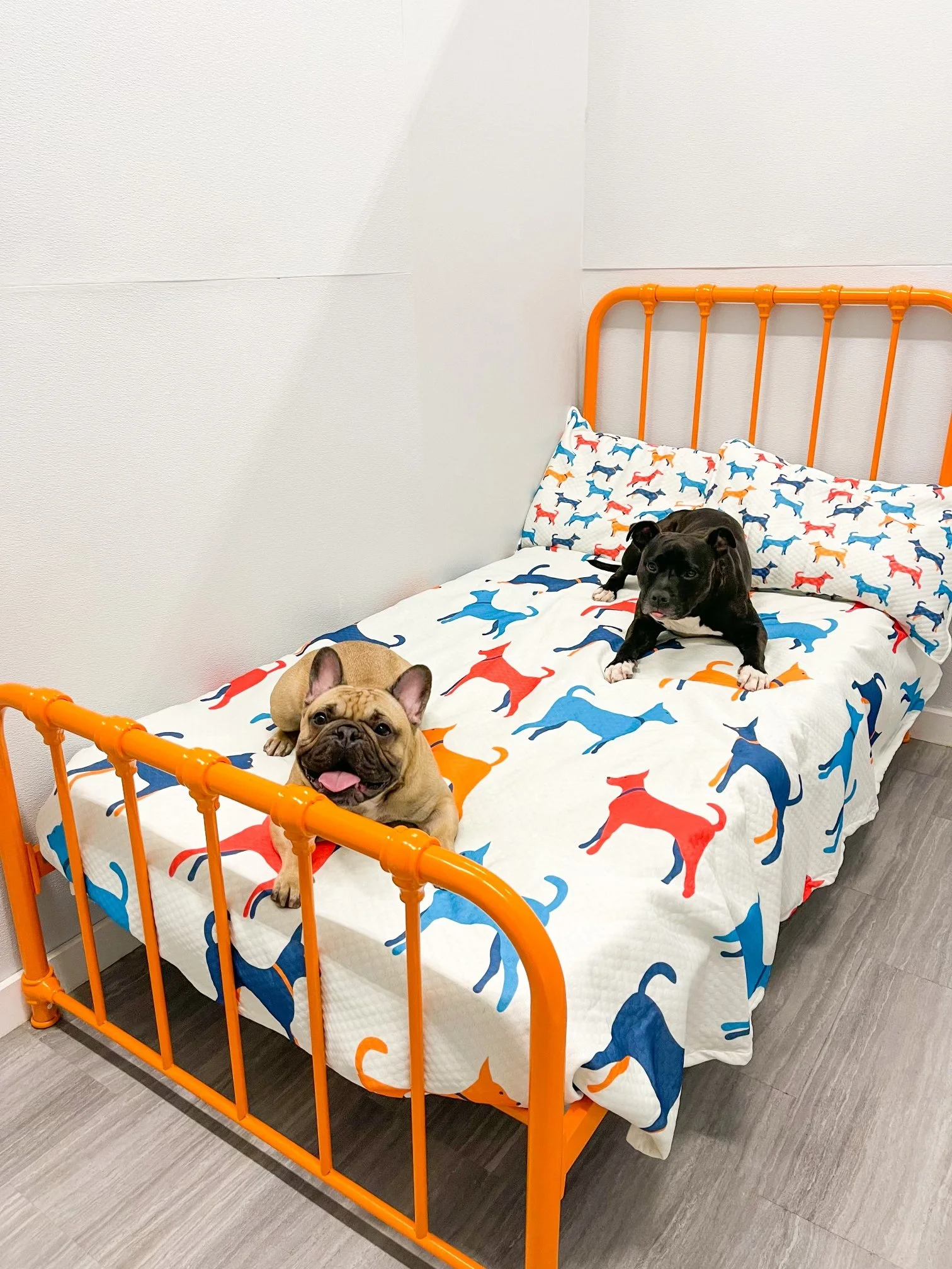 Boarding — Barklyn Heights Dog Daycare