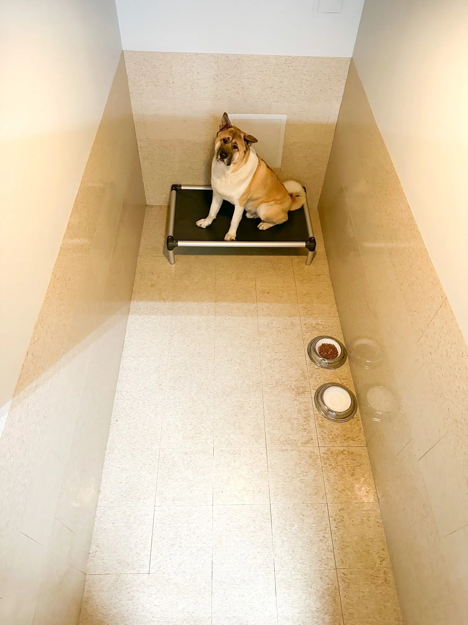 Boarding — Barklyn Heights Dog Daycare