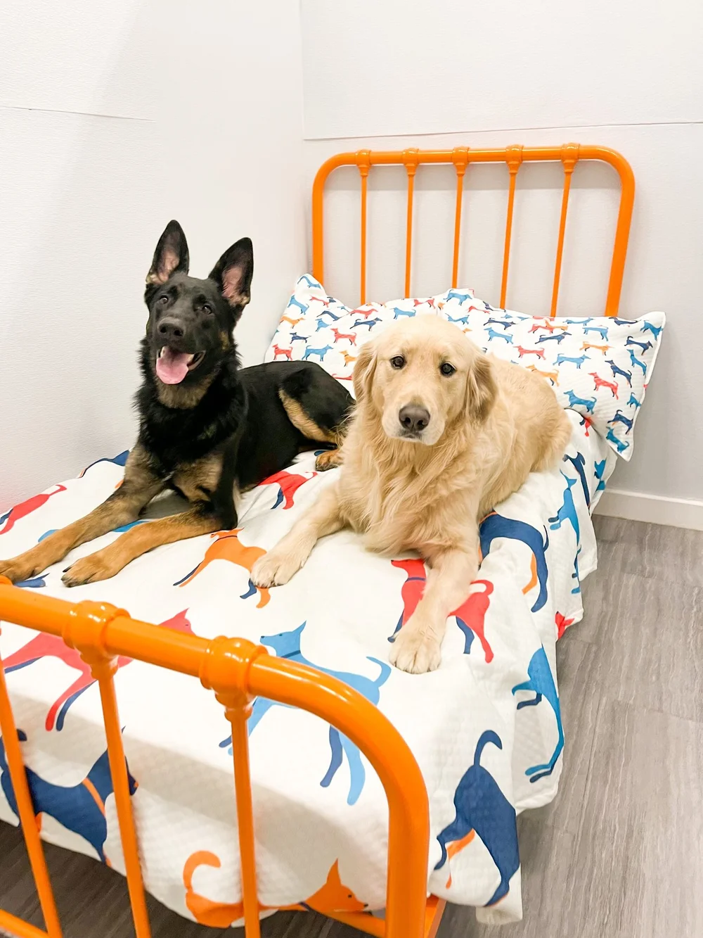 Boarding — Barklyn Heights Dog Daycare