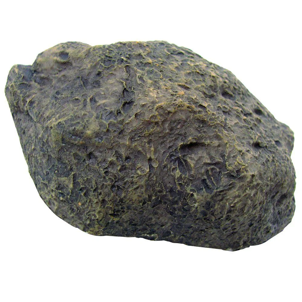 hide a rock.jpg