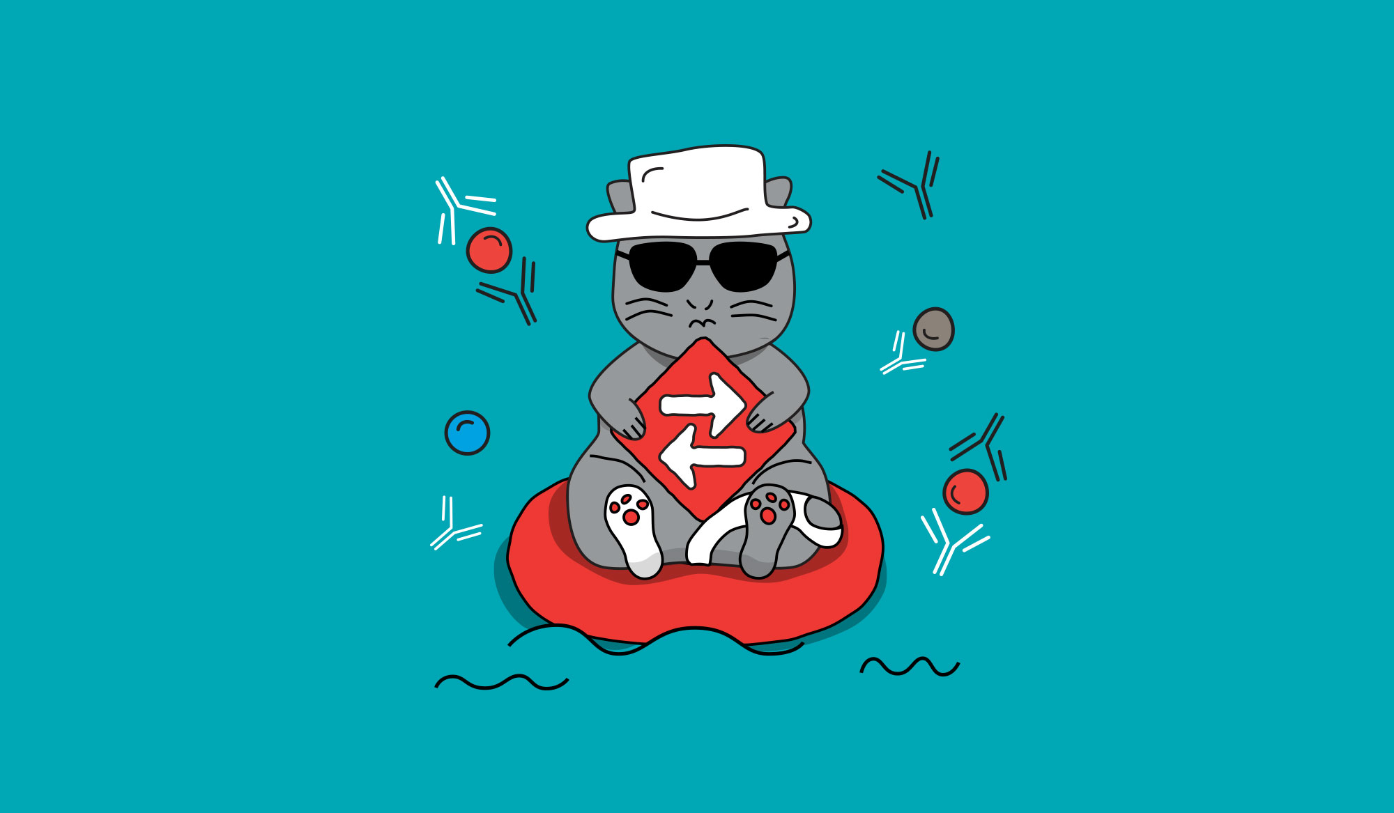 custom-illustration-01.jpg