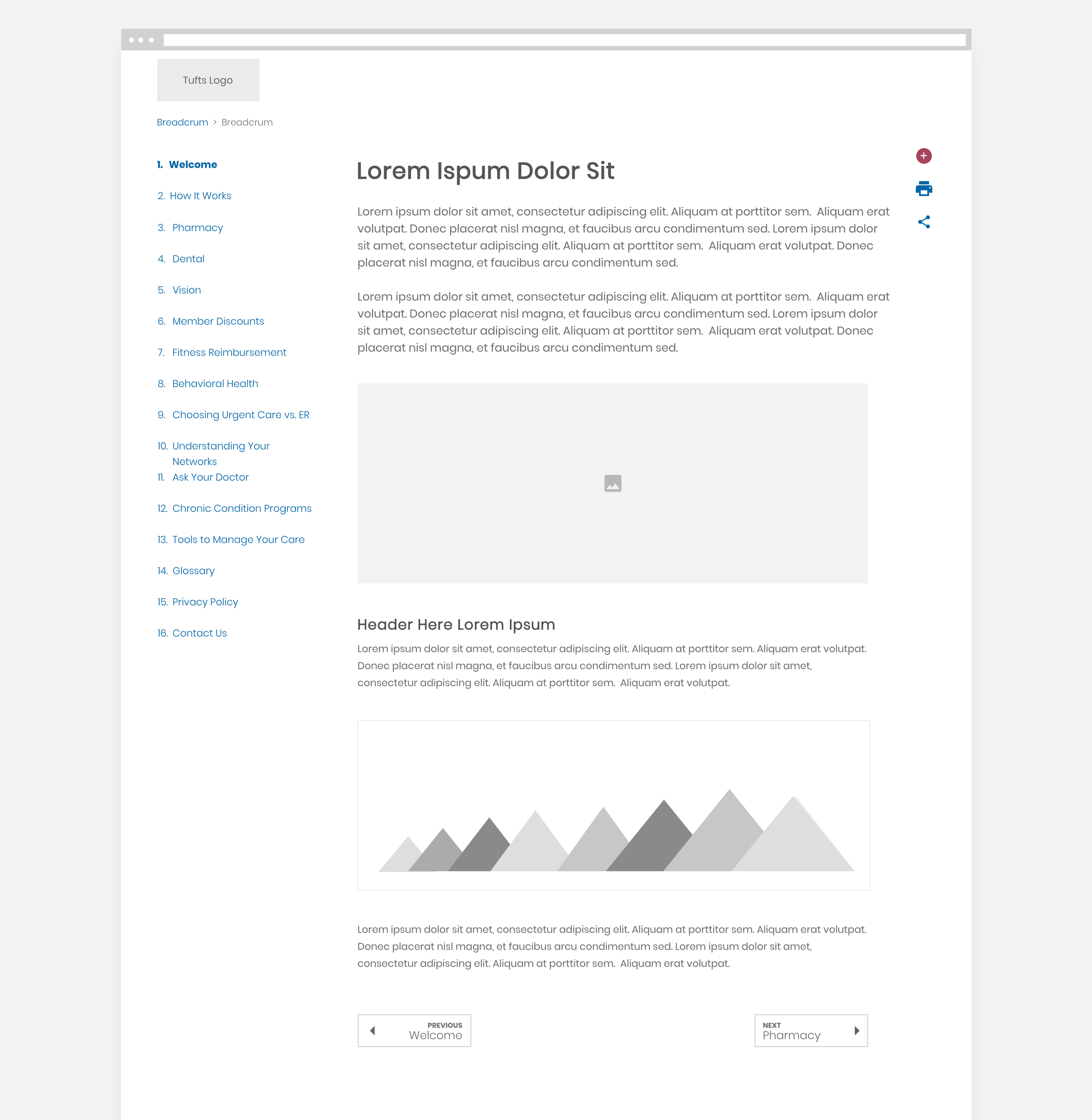Tufts E-kit subpage Wireframe.png