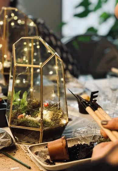 terrarium-workshop-sip-and-plant-new-york-city-portrait-big.jpg