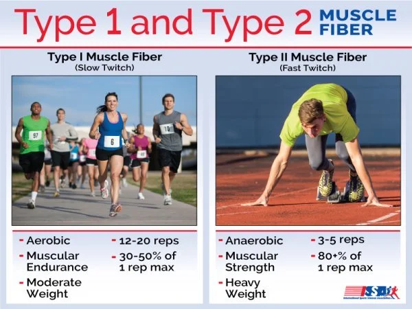 Image courtesy of International Sports Sciences Association