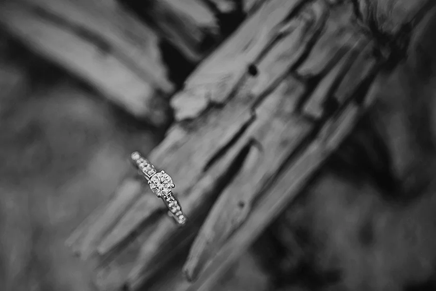 _D7A4048.jpg