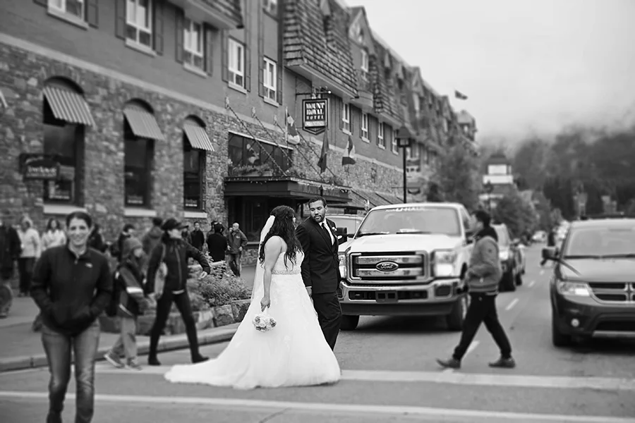 _D7A9984-copy.jpg