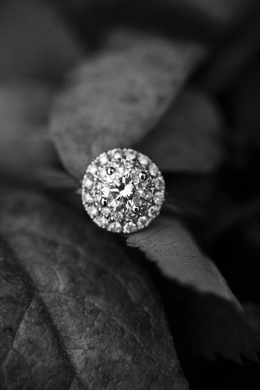 JALISSEPHOTOGRAPHY37.jpg