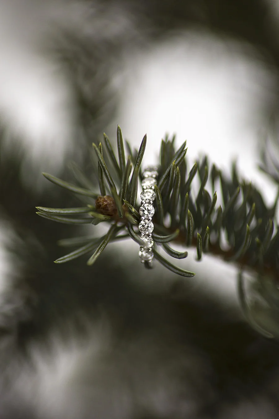 JALISSEPHOTOGRAPHY77.jpg