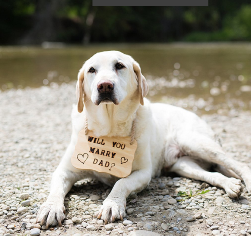 SARA + DUSTIN | FISH CREEK PARK ENGAGEMENT