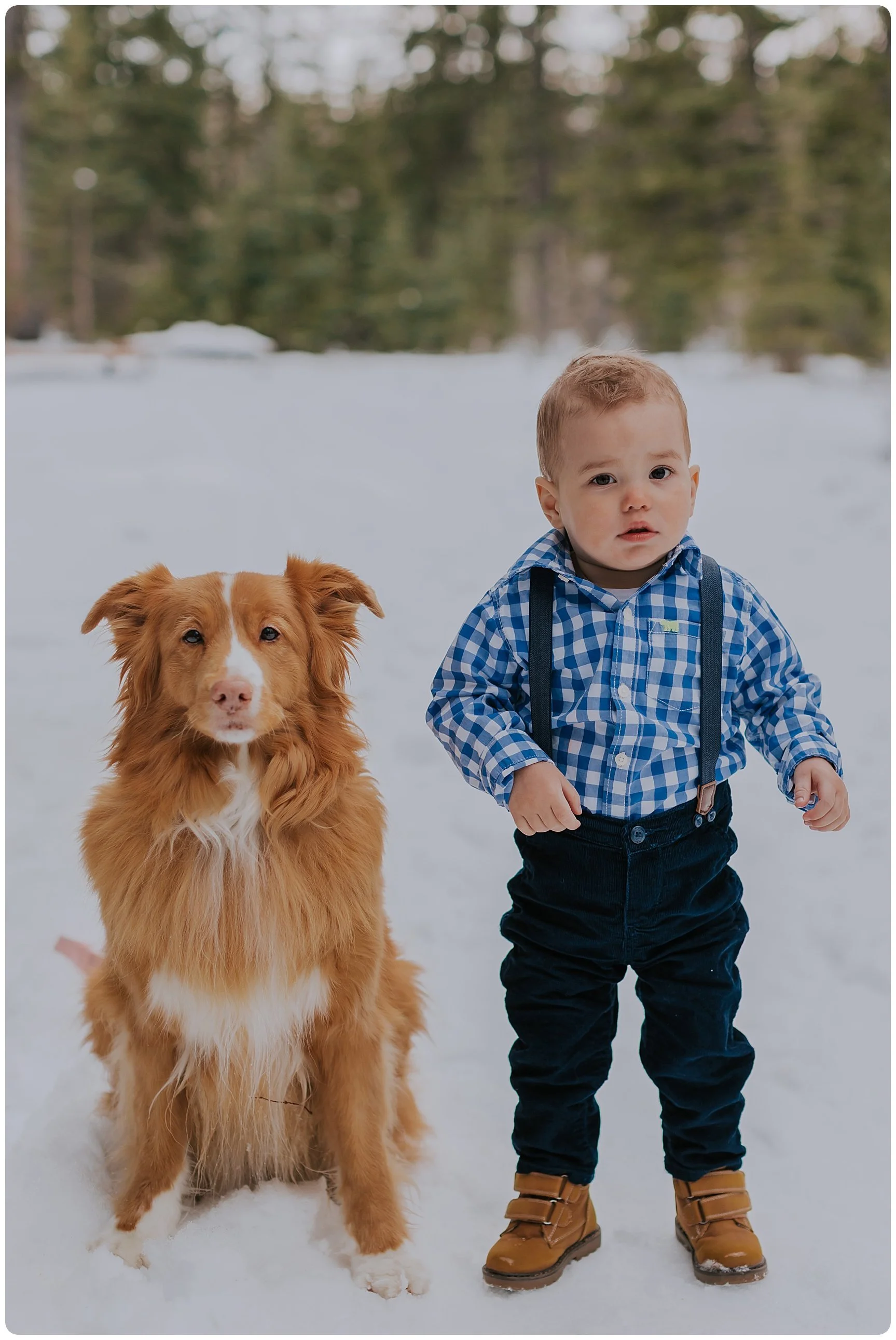 WINTER FAMILY SESSION | FISH CREEK PARK 