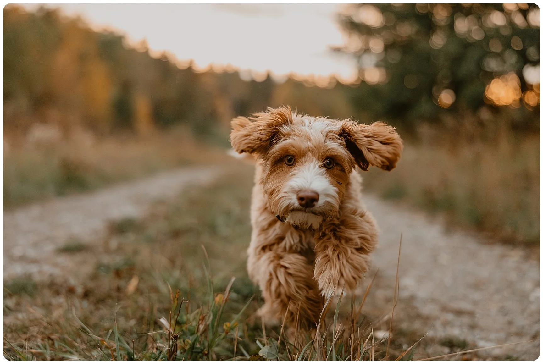 Family Session | Millarville