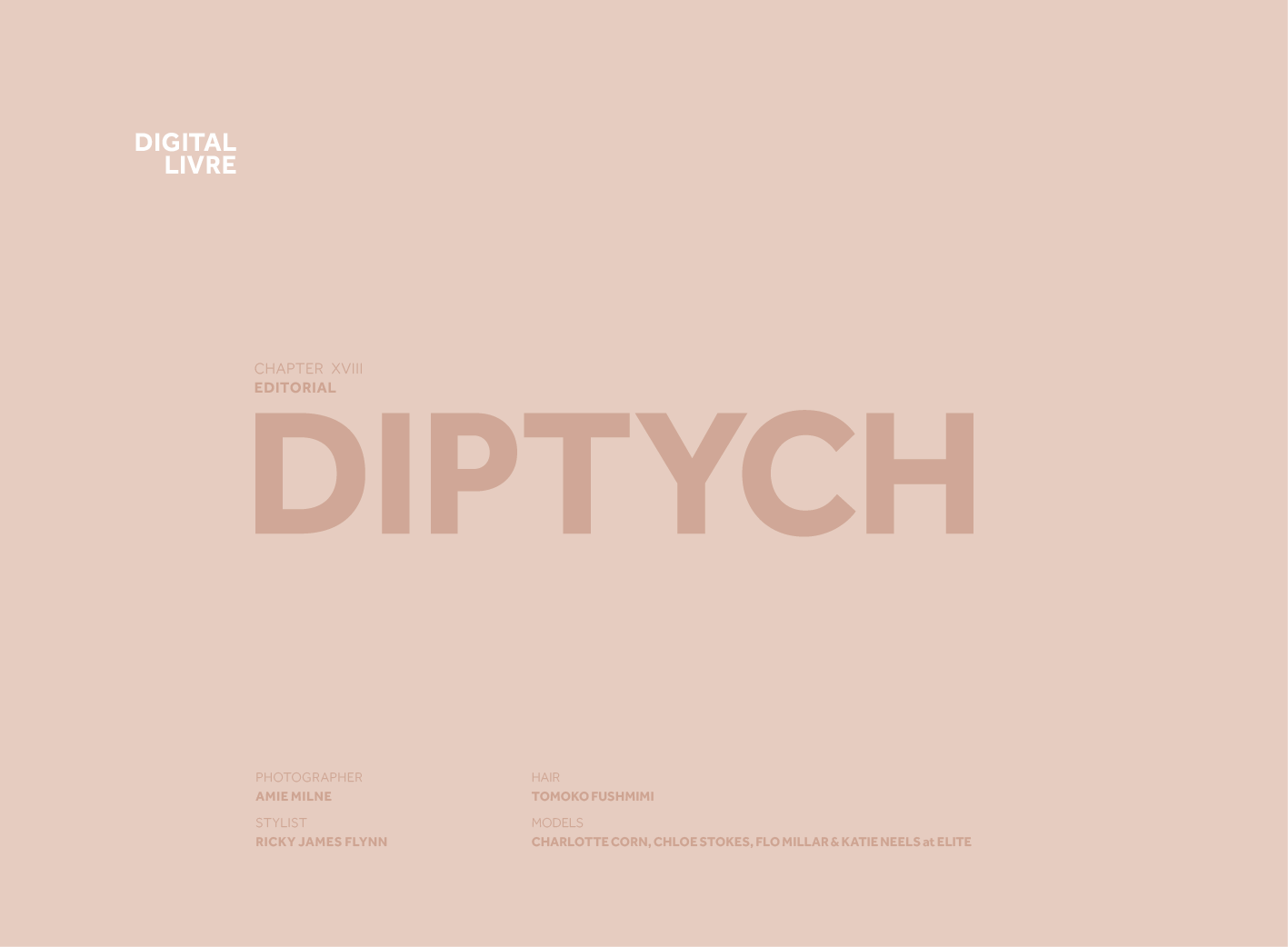 DigitalLivre_18_Diptych_03.png