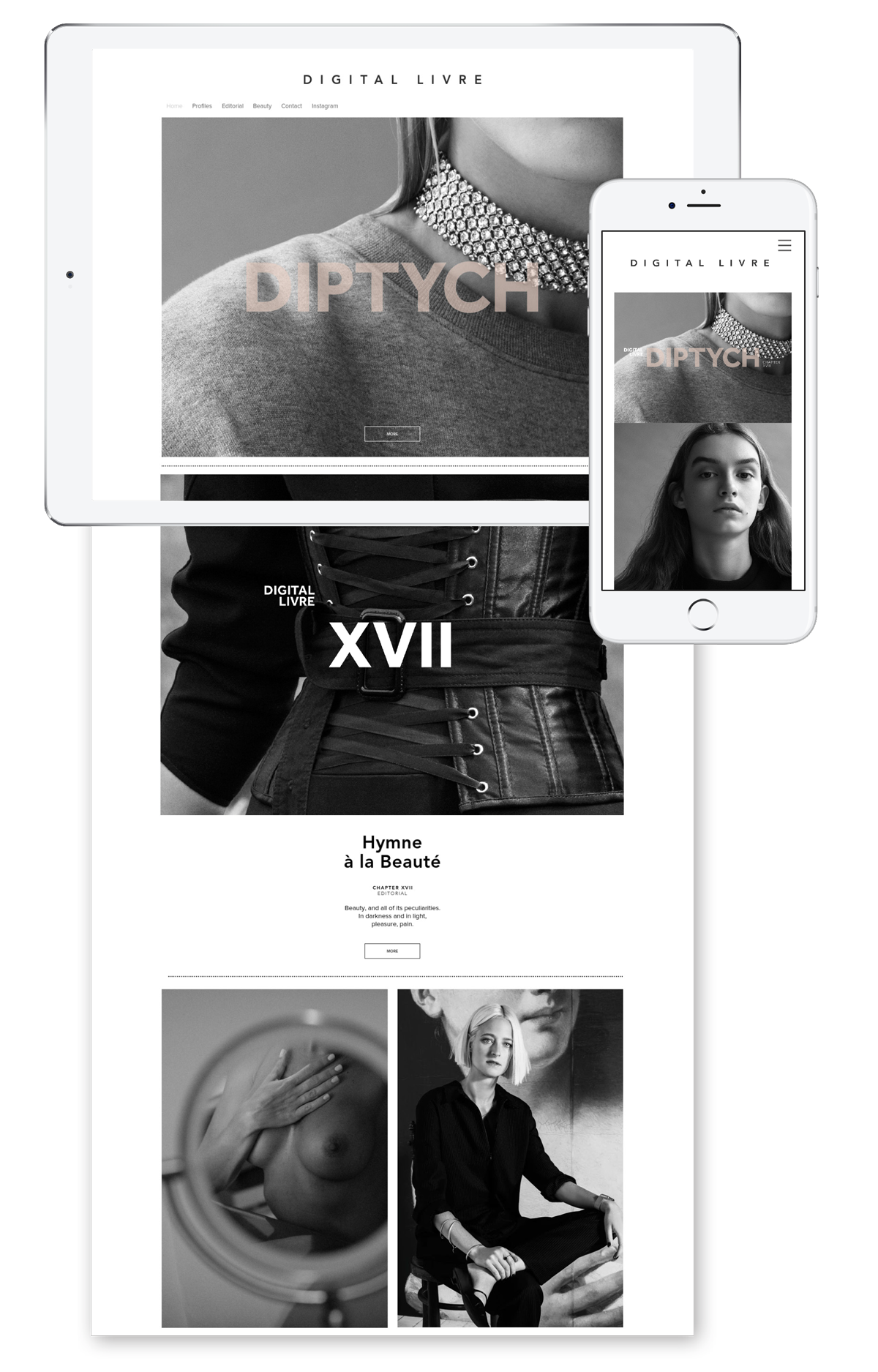 DigitalLivre_18_Diptych_018.png